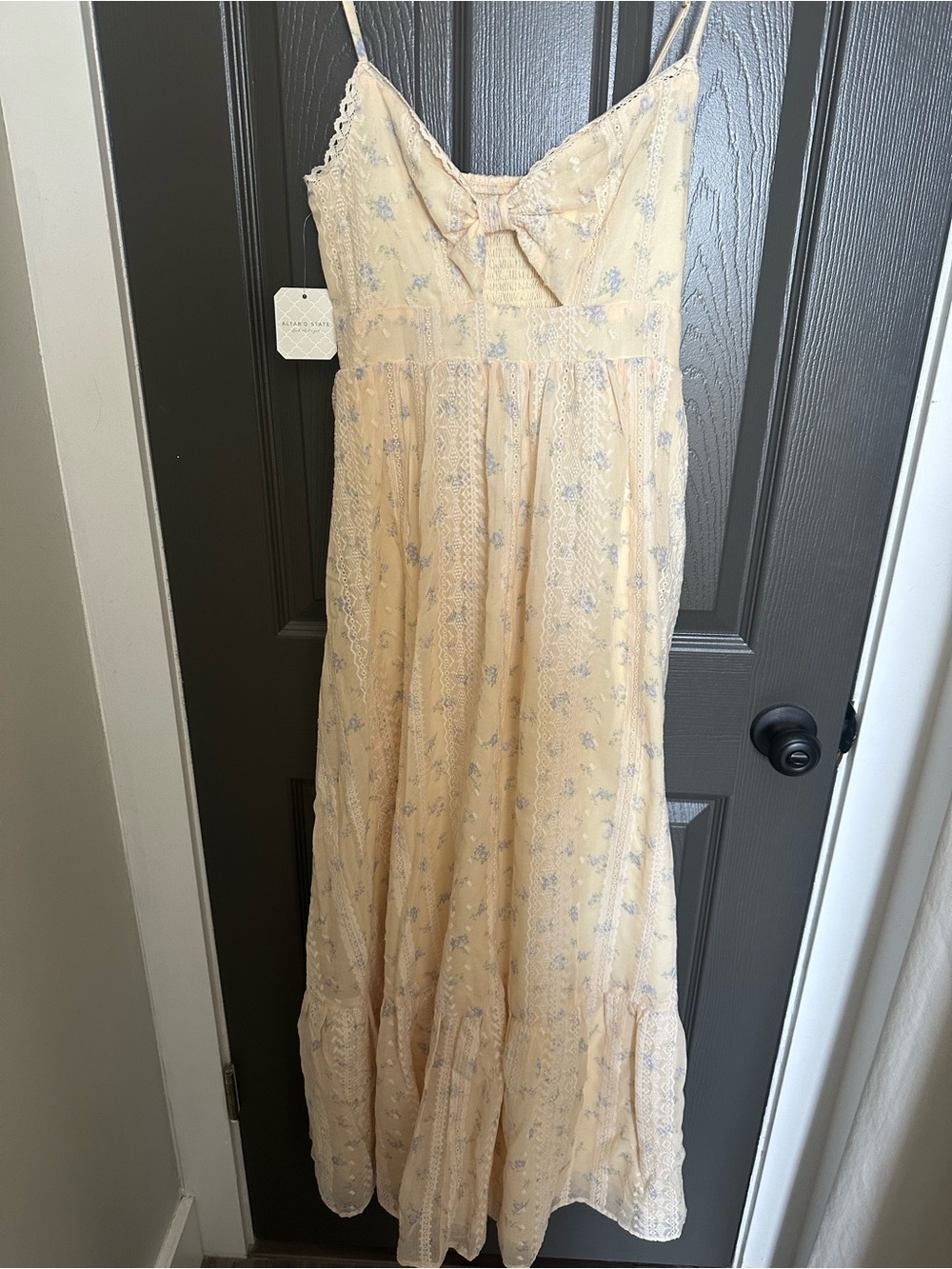NWT Altard State Celestie Maxi Dress